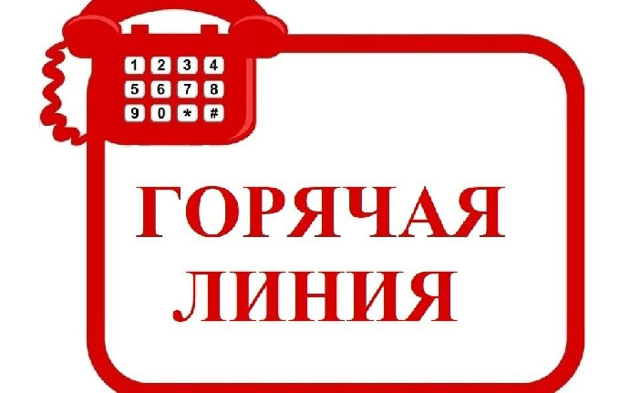 «Горячая линия» по вопросам организации питания в общеобразовательных организациях