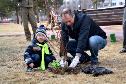 Акция по посадке деревьев состоялась в Когалыме