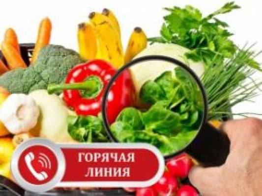 О «горячей линии» по вопросам качества и безопасности плодовоовощной продукции и срокам годности