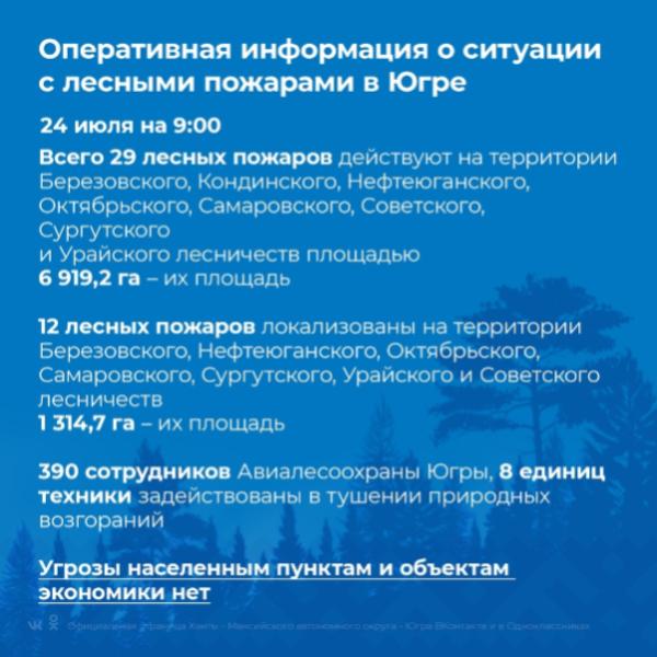 Официальная информация о лесных пожарах в Югре на 24 июля 9:00