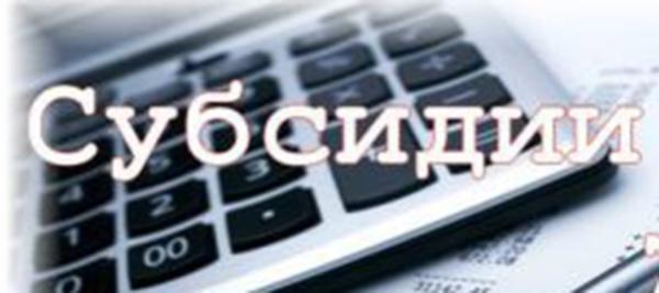 Субсидии немуниципальным организациям, в том числе СОНКО!