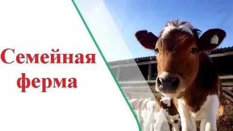 Конкурс семейная ферма