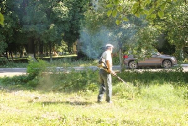 26 июля в 14.00 часов пройдет общегородской субботник