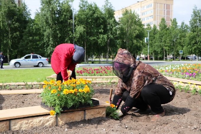 В Когалыме приступили к посадке цветов