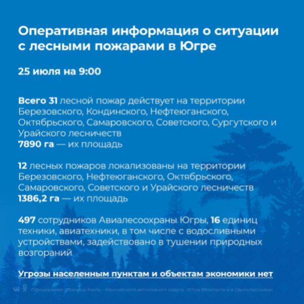 Официальная информация о лесных пожарах в Югре на 25 июля 9:00