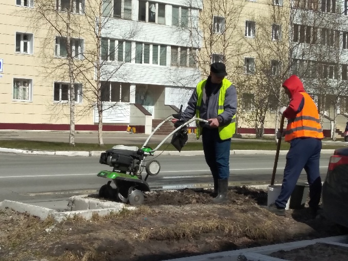 В Когалыме начались работы по озеленению города