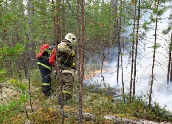 В Югре введен режим ЧС регионального характера