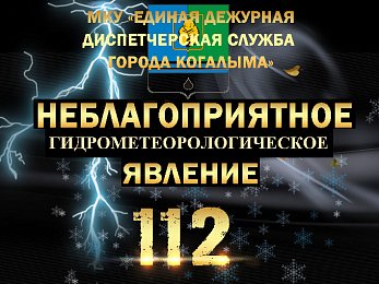 Неблагоприятные погодные явления на 04.11.2024г.